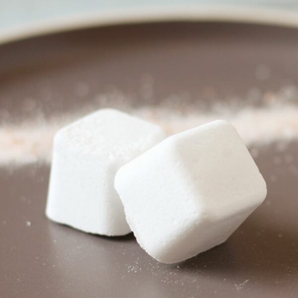 Pastilles pour lave-vaisselle kit complet Première Fois